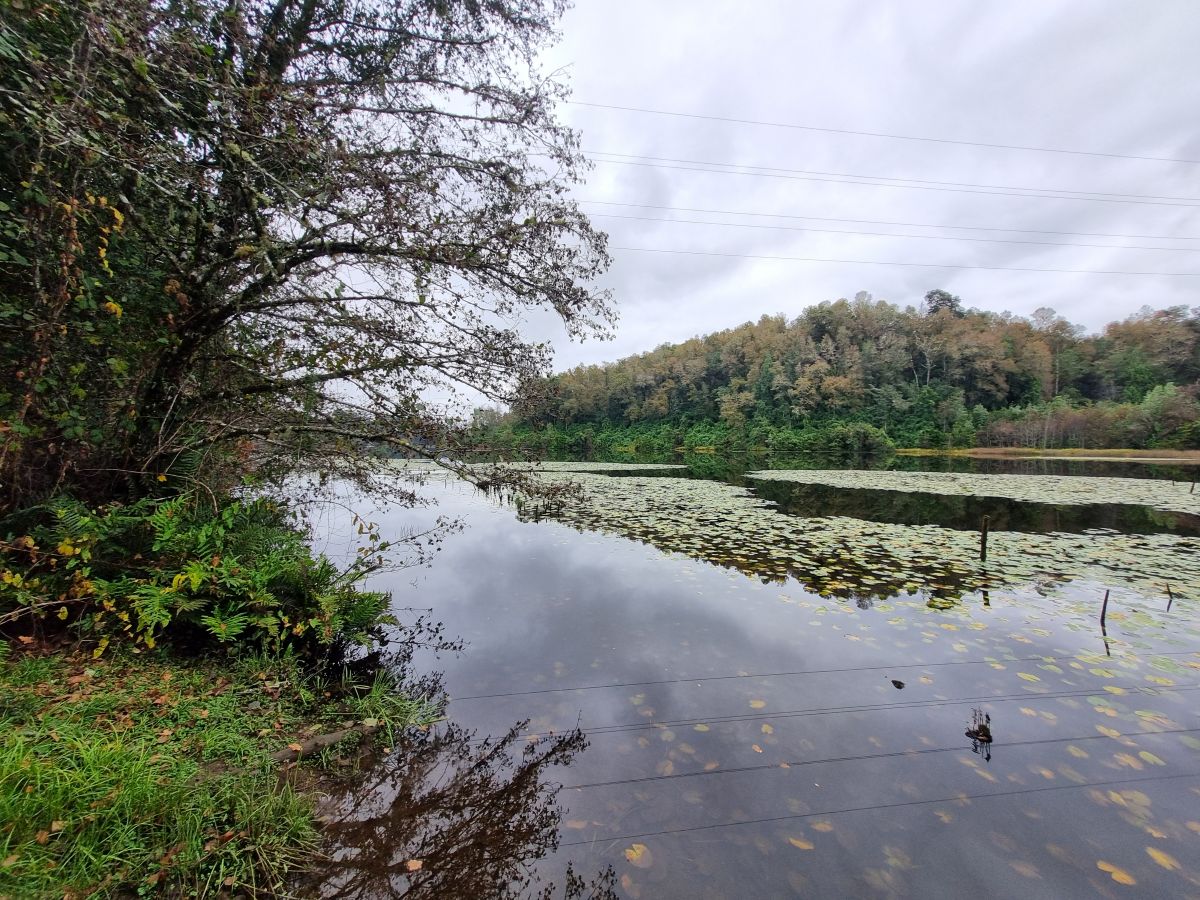 lote-orilla-rio